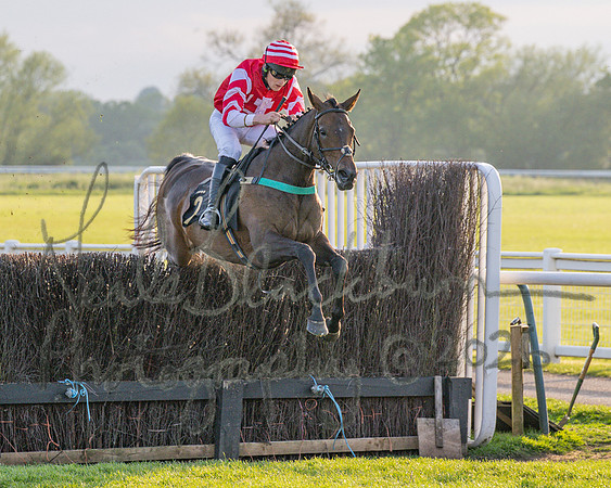 Race 5 - Mares Open (41 of 105)