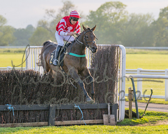 Race 5 - Mares Open (42 of 105)