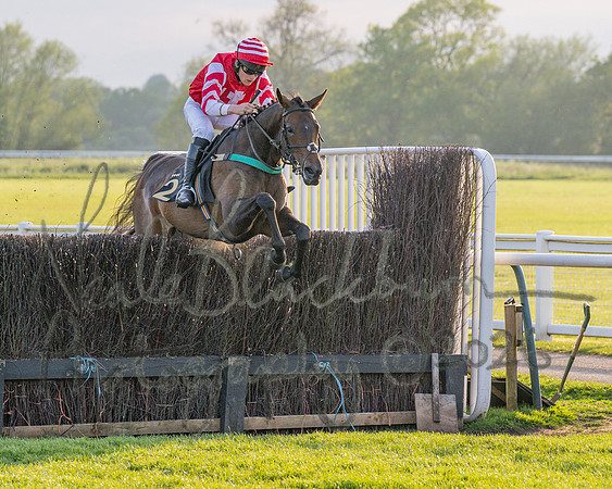 Race 5 - Mares Open (40 of 105)
