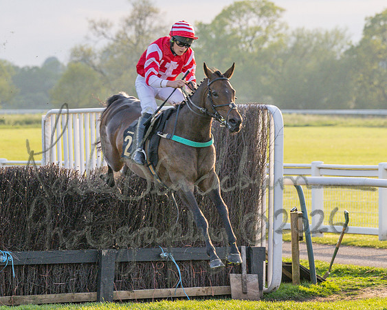 Race 5 - Mares Open (43 of 105)