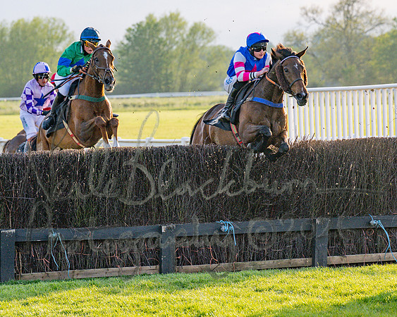Race 5 - Mares Open (44 of 105)
