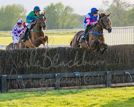 Race 5 - Mares Open (45 of 105)