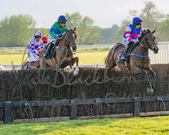 Race 5 - Mares Open (47 of 105)