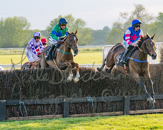 Race 5 - Mares Open (48 of 105)