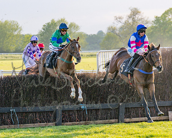 Race 5 - Mares Open (49 of 105)