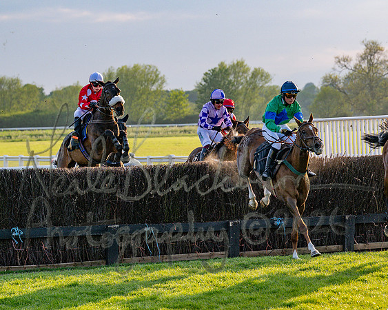 Race 5 - Mares Open (50 of 105)