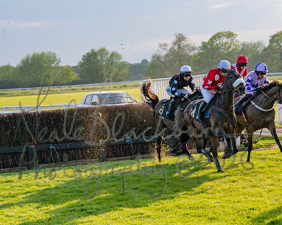 Race 5 - Mares Open (54 of 105)