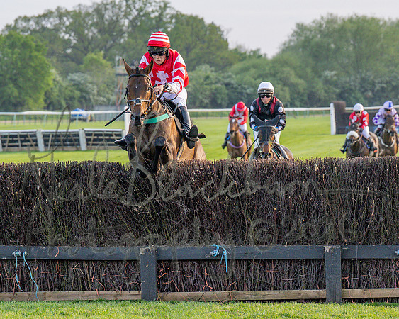 Race 5 - Mares Open (58 of 105)