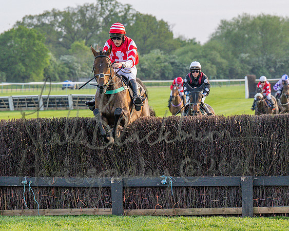 Race 5 - Mares Open (59 of 105)