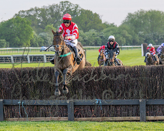 Race 5 - Mares Open (60 of 105)