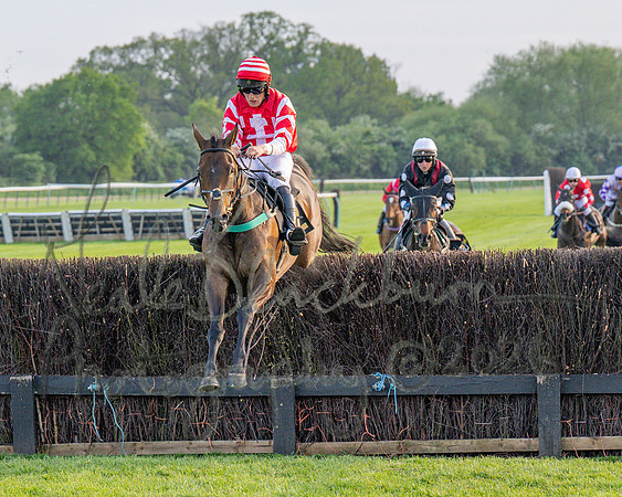 Race 5 - Mares Open (61 of 105)