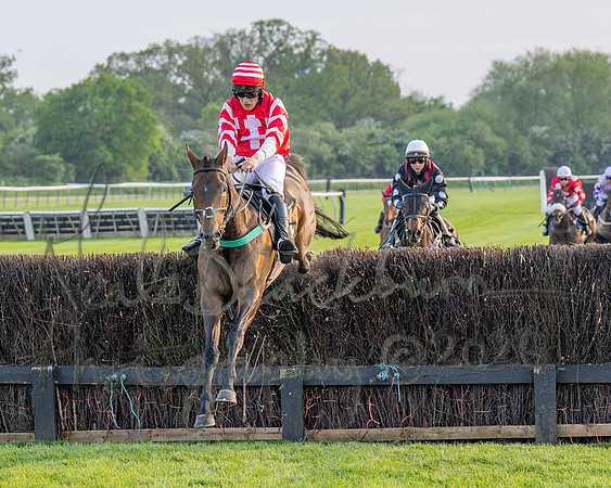 Race 5 - Mares Open (62 of 105)