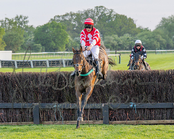Race 5 - Mares Open (63 of 105)