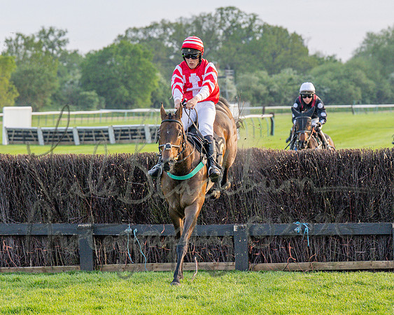Race 5 - Mares Open (64 of 105)