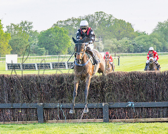 Race 5 - Mares Open (68 of 105)