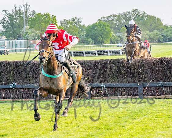 Race 5 - Mares Open (67 of 105)
