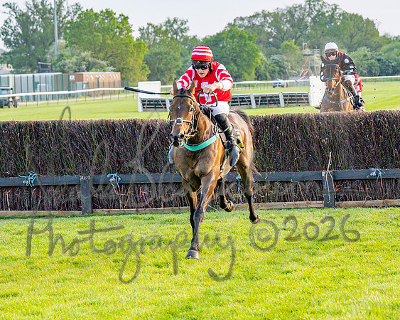 Race 5 - Mares Open (66 of 105)