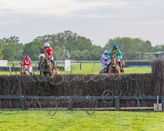 Race 5 - Mares Open (69 of 105)