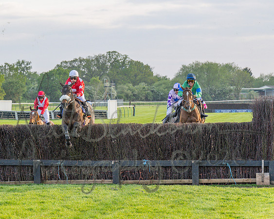Race 5 - Mares Open (70 of 105)