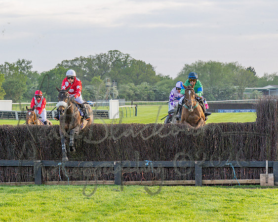 Race 5 - Mares Open (71 of 105)