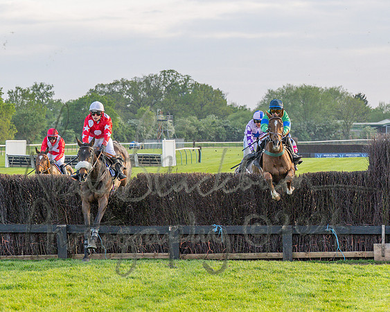 Race 5 - Mares Open (73 of 105)