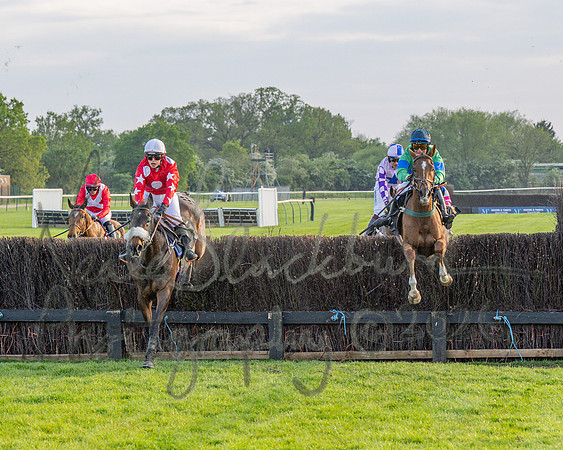 Race 5 - Mares Open (74 of 105)