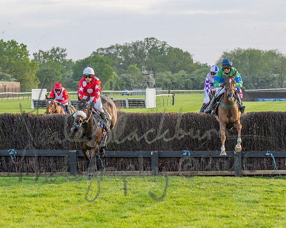 Race 5 - Mares Open (75 of 105)