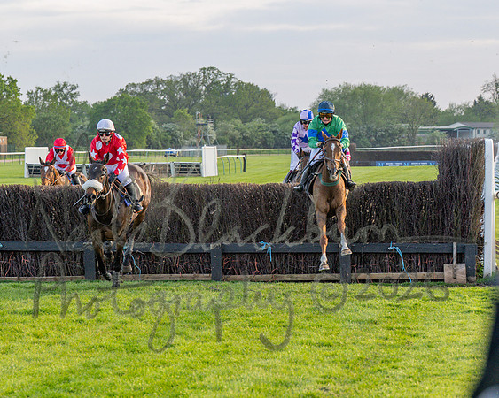 Race 5 - Mares Open (76 of 105)