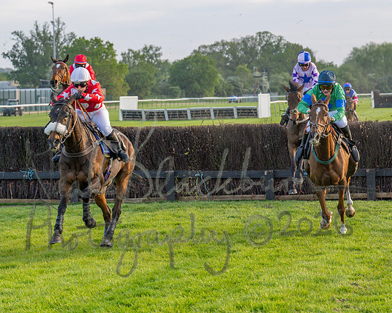 Race 5 - Mares Open (77 of 105)