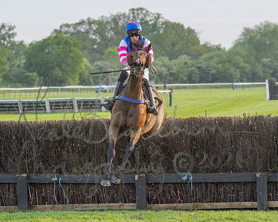 Race 5 - Mares Open (82 of 105)