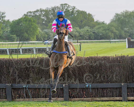 Race 5 - Mares Open (83 of 105)