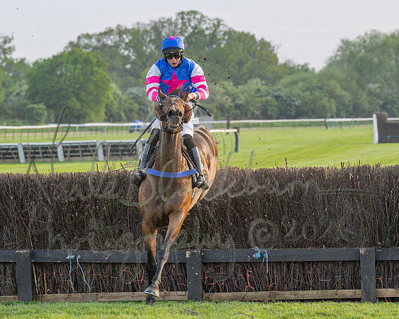 Race 5 - Mares Open (84 of 105)