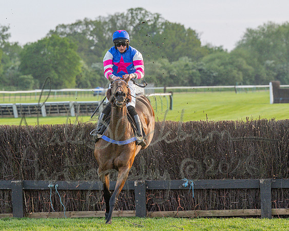 Race 5 - Mares Open (85 of 105)