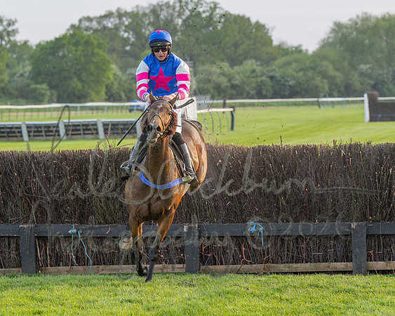 Race 5 - Mares Open (86 of 105)