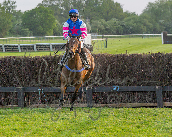 Race 5 - Mares Open (87 of 105)