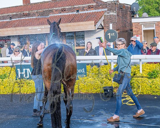 Race 5 - Mares Open (95 of 105)