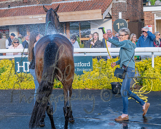 Race 5 - Mares Open (96 of 105)