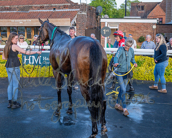 Race 5 - Mares Open (97 of 105)