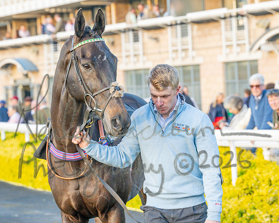 Race 7 - 2 and half miler (4 of 89)