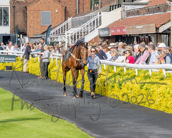 Race 2 - The Pertemps Network Intermediate- (3 of 91)