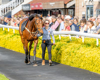 Race 2 - The Pertemps Network Intermediate- (4 of 91)