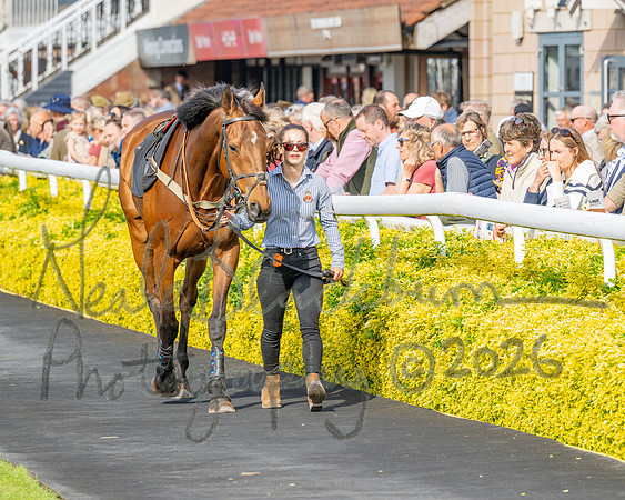 Race 2 - The Pertemps Network Intermediate- (4 of 91)