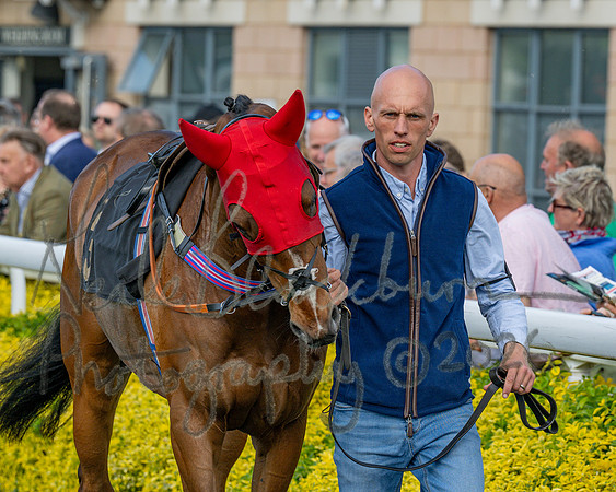 Race 2 - The Pertemps Network Intermediate- (8 of 91)