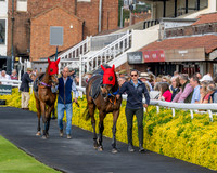 Race 2 - The Pertemps Network Intermediate- (6 of 91)