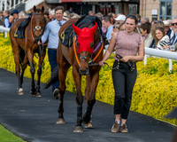 Race 2 - The Pertemps Network Intermediate- (9 of 91)