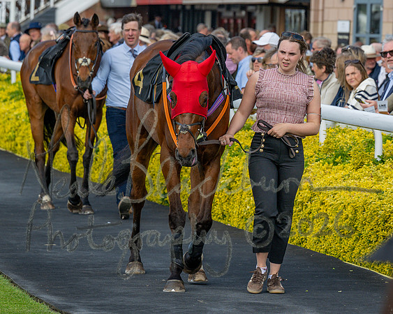 Race 2 - The Pertemps Network Intermediate- (9 of 91)