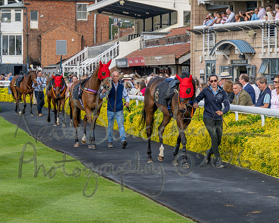 Race 2 - The Pertemps Network Intermediate- (7 of 91)