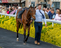 Race 2 - The Pertemps Network Intermediate- (10 of 91)