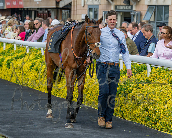 Race 2 - The Pertemps Network Intermediate- (10 of 91)