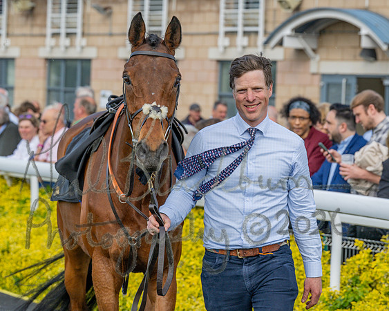 Race 2 - The Pertemps Network Intermediate- (13 of 91)